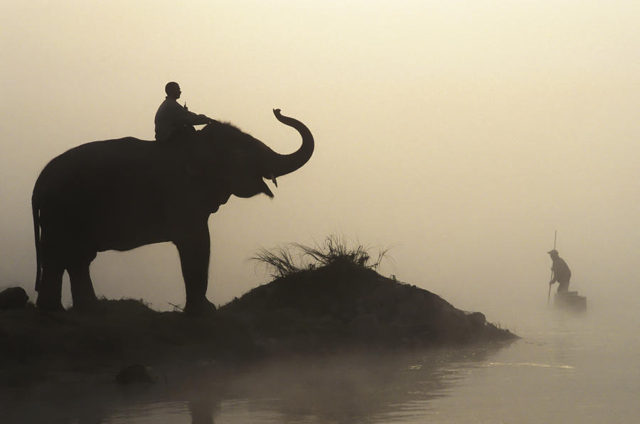 An Elephant With Its Mahout Stand At The Edge Of The Rapti River Near Sauraha And Chitwan National Park As A Man Pushes His Dugout Canoe Along The River; Nepal by PacificStock