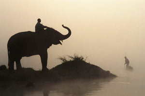 An Elephant With Its Mahout Stand At The Edge Of The Rapti River Near Sauraha And Chitwan National Park As A Man Pushes His Dugout Canoe Along The River; Nepal by PacificStock