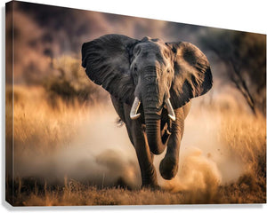 Giclée Stretched Canvas Print