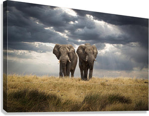 Giclée Stretched Canvas Print