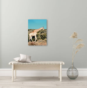 Giclée Stretched Canvas Print