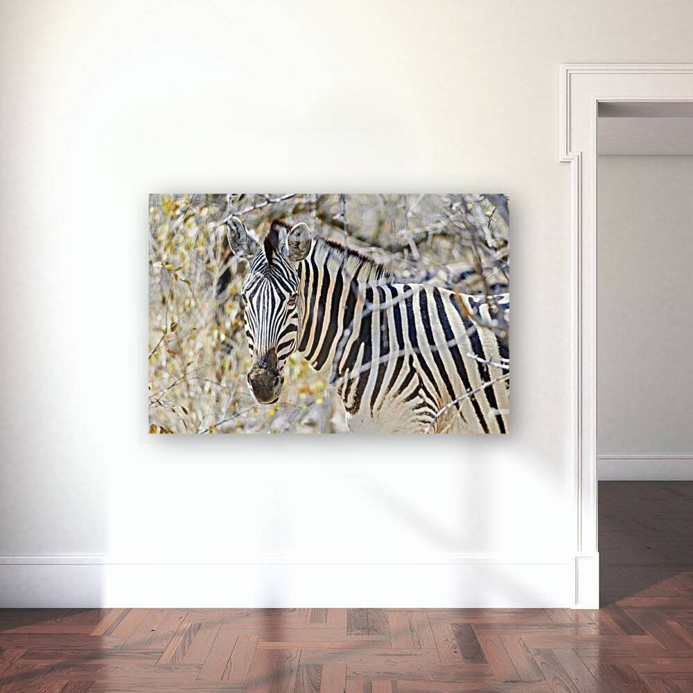 Giclée Stretched Canvas Print