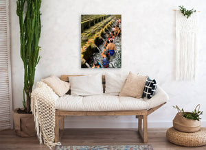 Giclée Stretched Canvas Print