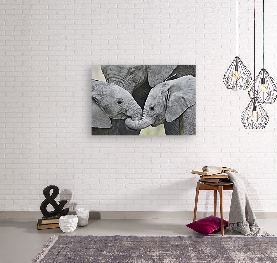 Giclée Stretched Canvas Print