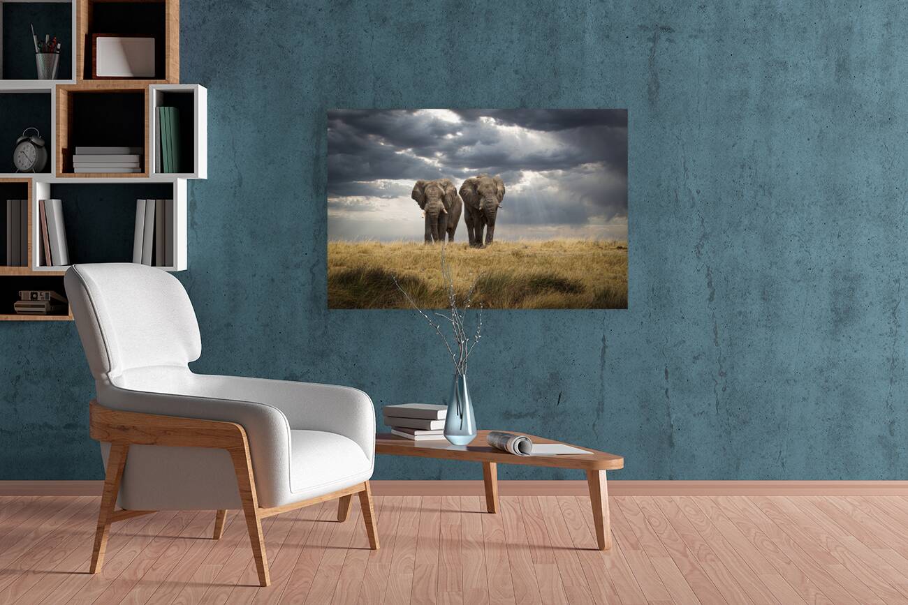 Giclée Stretched Canvas Print